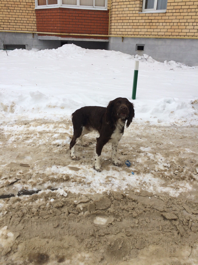 Изображение к жалобе