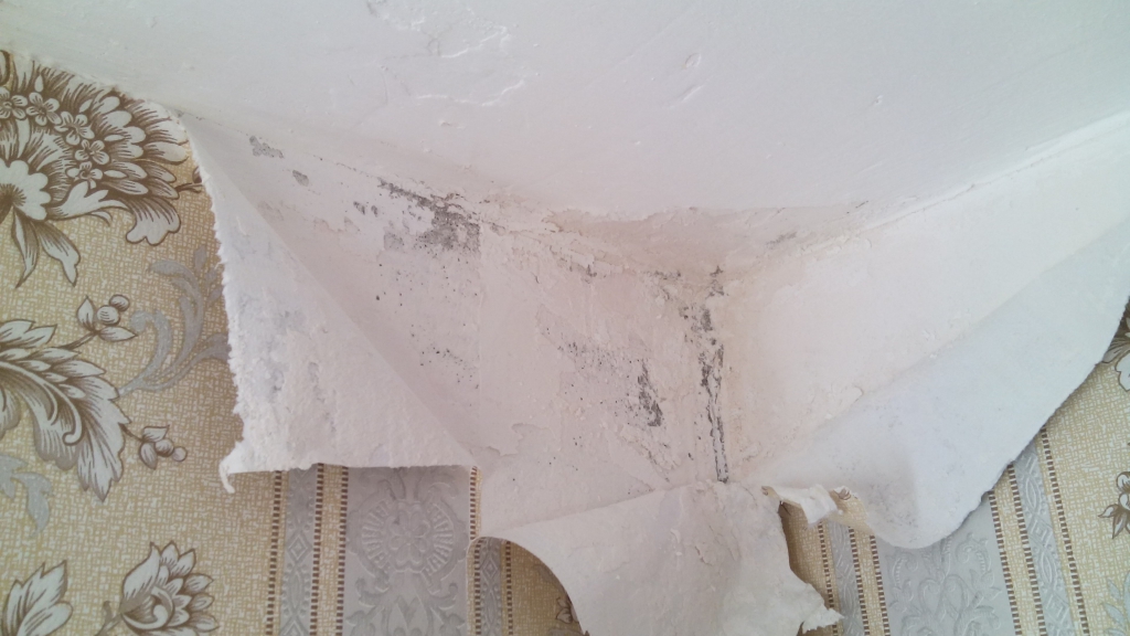 Изображение к жалобе