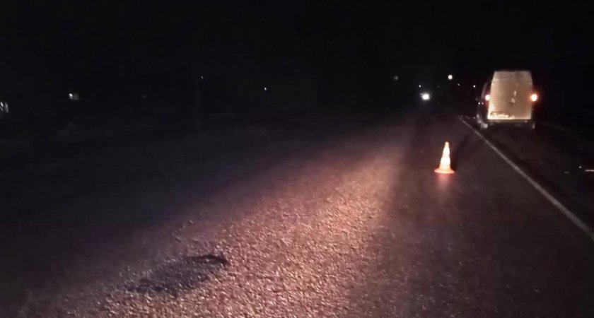 В Мордовии невнимательный водитель сбил пешехода, который шел по краю дороги