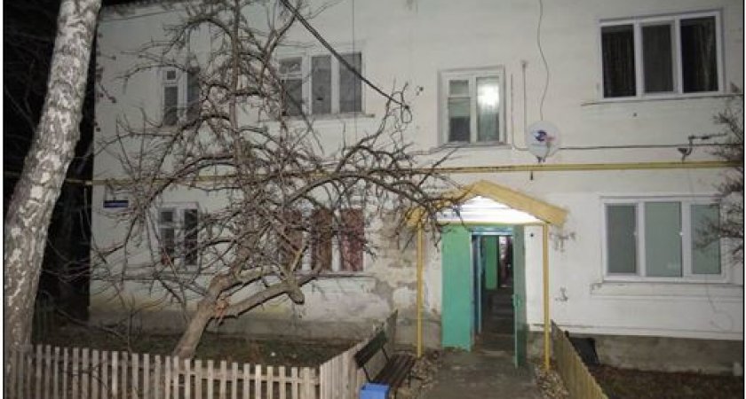 В Мордовии заключен под стражу мужчина, обвиняемый в покушении на убийство двух лиц