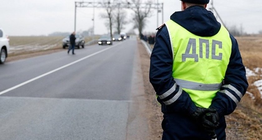 В Мордовии полицейские поймали водителя, который сбил пешехода и сбежал