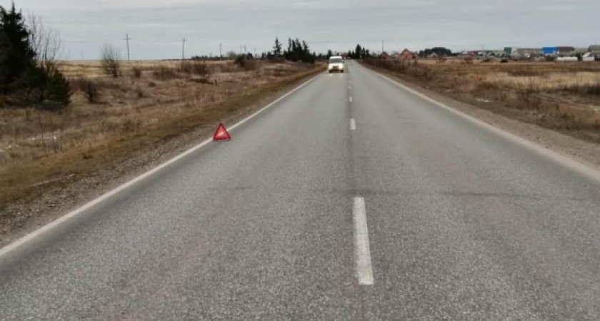 В Мордовии молодой водитель без прав устроил ДТП: есть пострадавшие