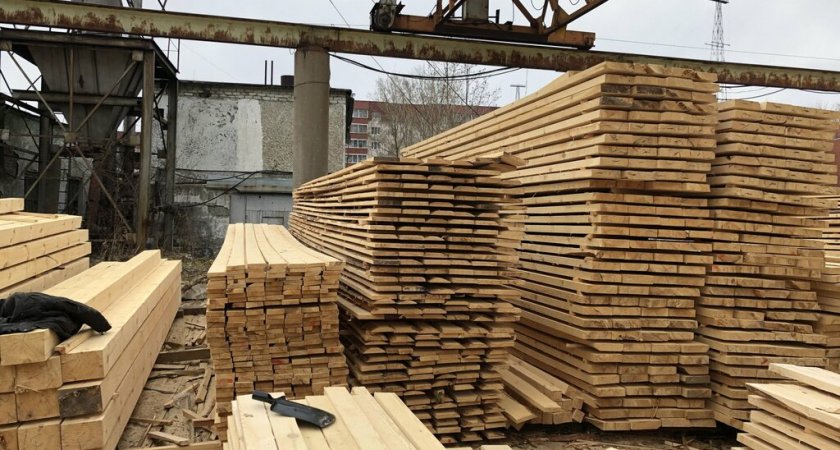 Из-за опилок не в том месте в Мордовии приостановили работу пилорамы