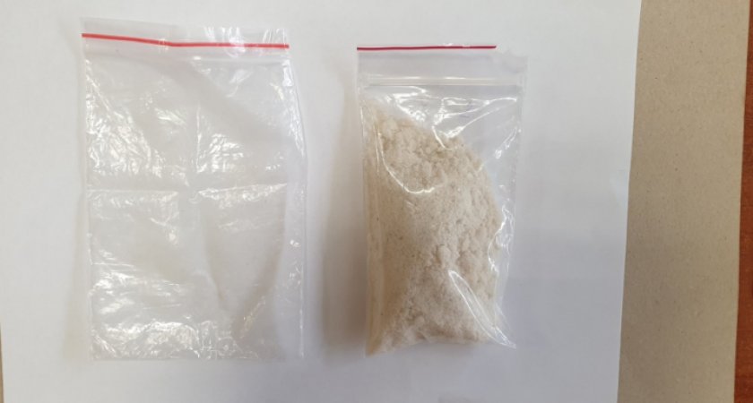 Два молодых жителя Саранска хотели заработать на распространении наркотиков