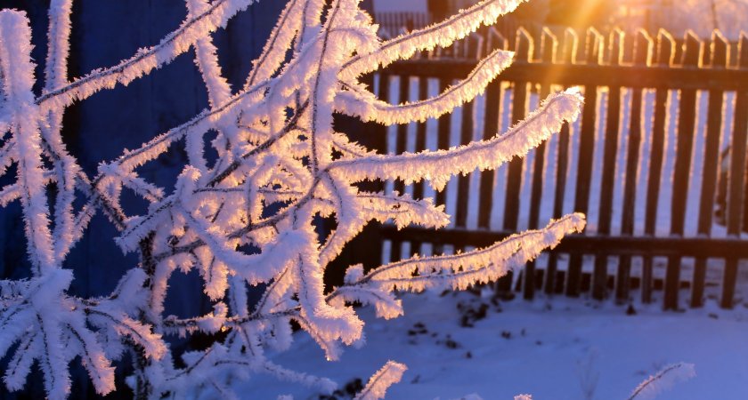 В Мордовии 23 декабря ночью похолодает до -29°С