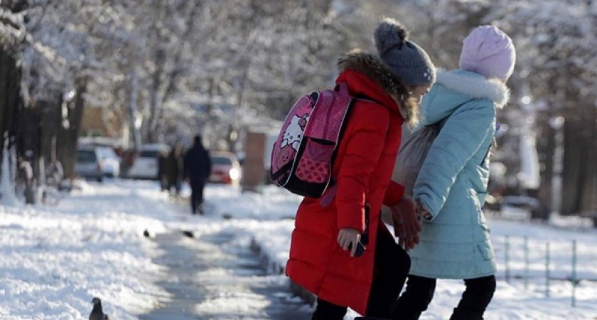 В некоторых школах Мордовии из-за сильных морозов отменили уроки