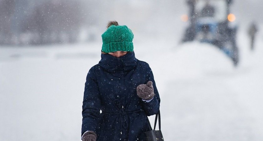 Слабая метель и мороз ожидаются в Мордовии 