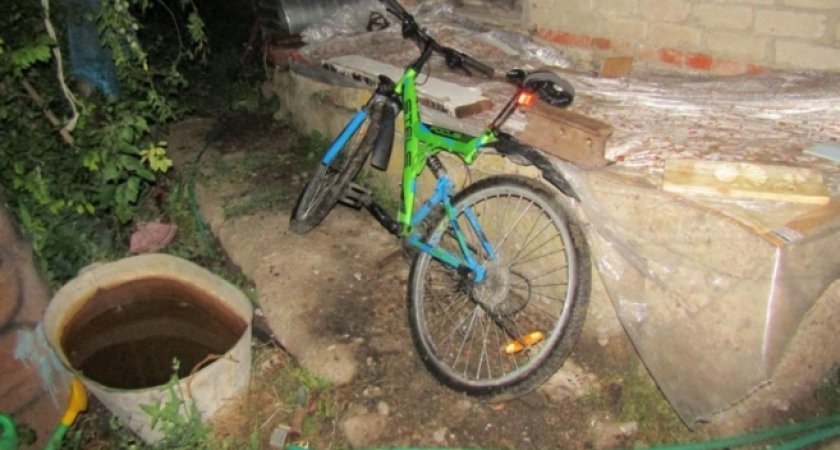Жителя Чамзинского района осудили на 7 месяцев за кражу велосипеда