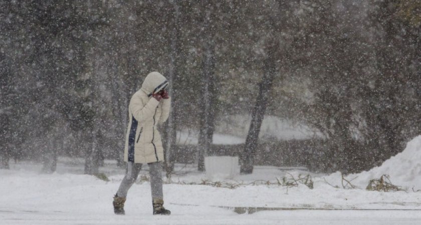 В Мордовии 12 февраля ожидается снегопад