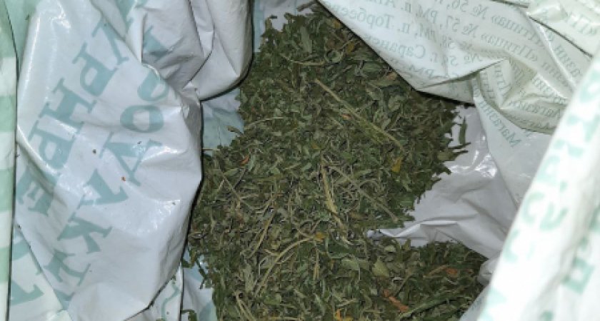 В квартире жителя Саранска нашли наркотики 