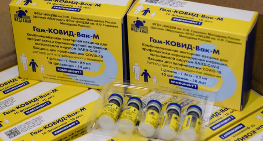 Мордовия получит вторую партию вакцины «Спутник М» 