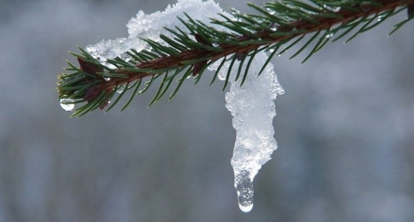 25 февраля в Мордовии ожидается +1 градус
