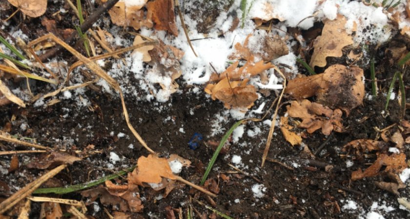 Жителю Саранска могут дать 20 лет тюрьмы за 20 свёртков наркотиков