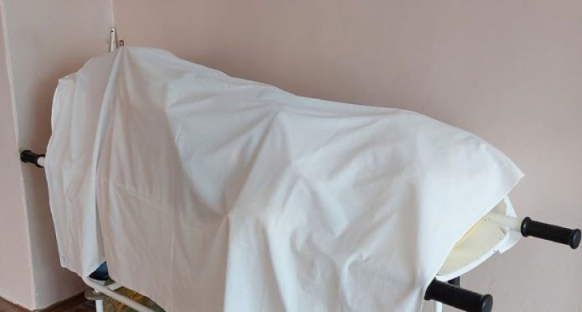 В Мордовии 86-летняя женщина умерла из-за удара головой