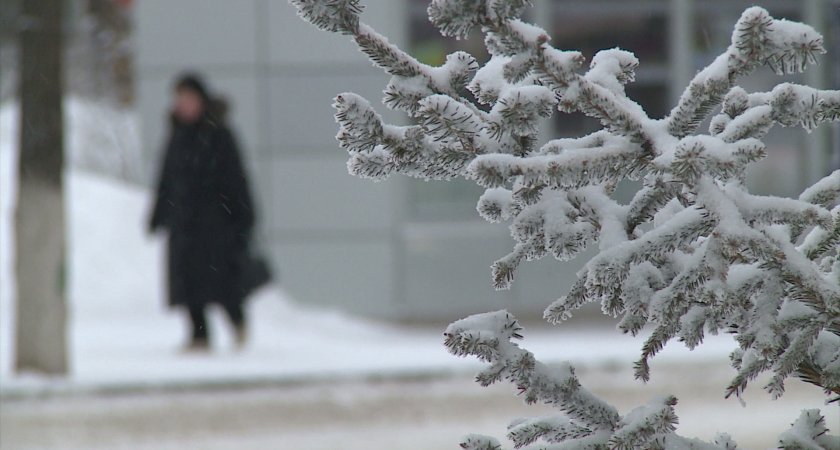 14 марта в Мордовии ожидается слабый снег 