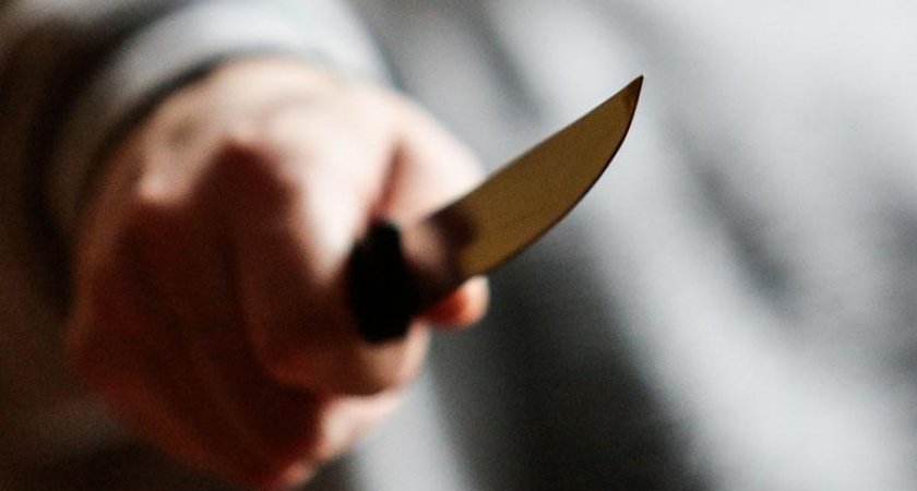 В Саранске мужчина за просьбу уйти 20 раз ударил знакомого ножом