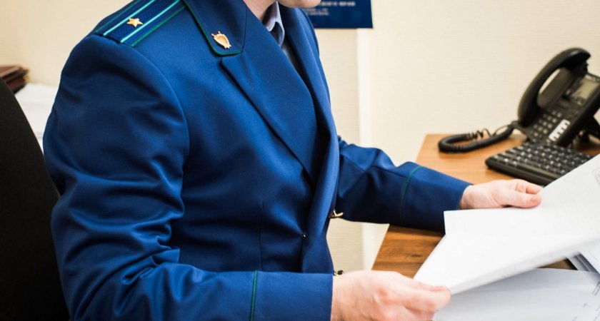 Жительница Мордовии, купив жилье на маткапитал, оставила 4 детей без доли