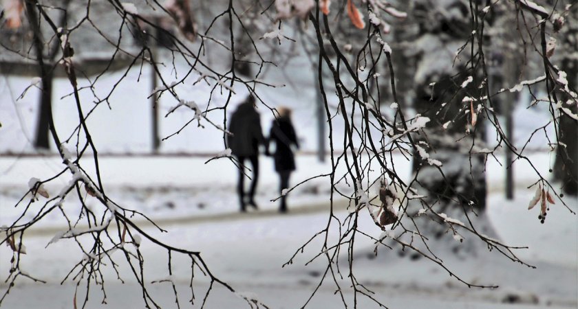 В Мордовии ожидается облачная погода с мокрым снегом и гололедицей