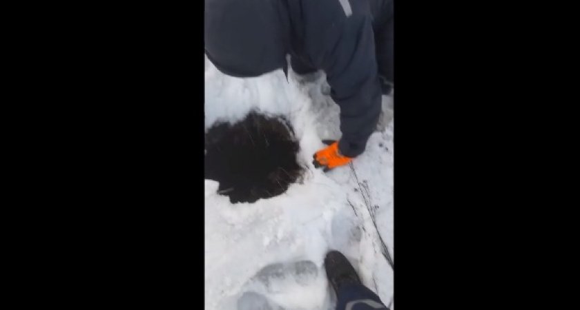 В Саранске мужчина провалился в канализационный люк: СК проводит проверку