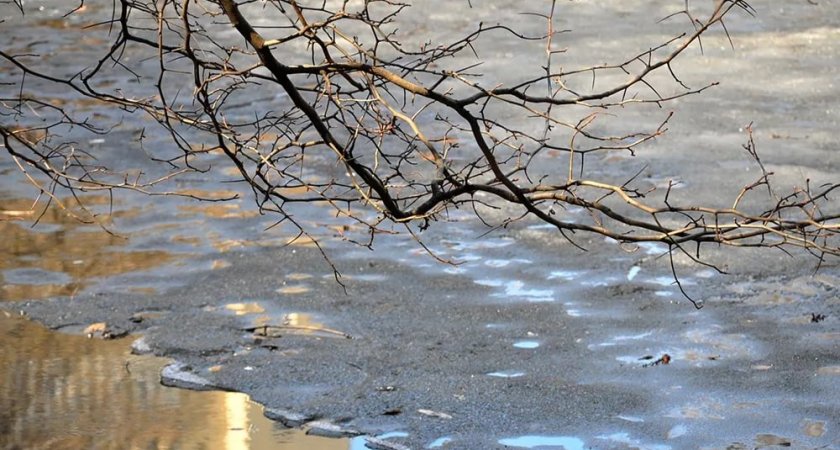 В Мордовии вновь ожидается дождливая погода