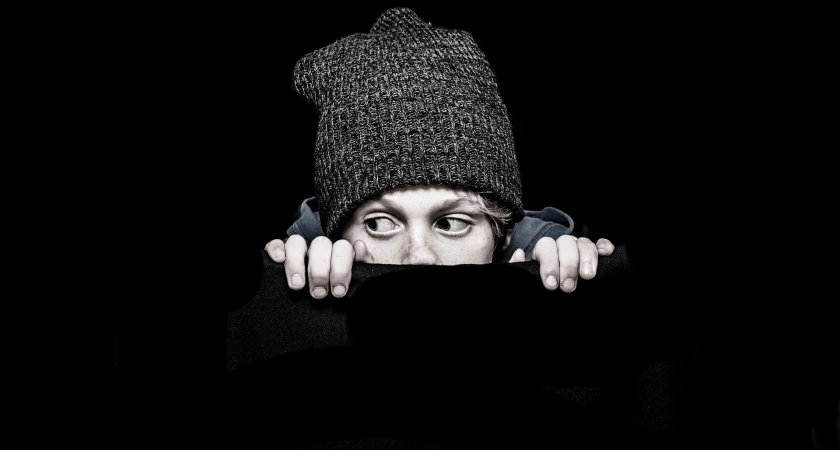 С начала 2022 года жители Мордовии заплатили мошенникам 47 млн рублей