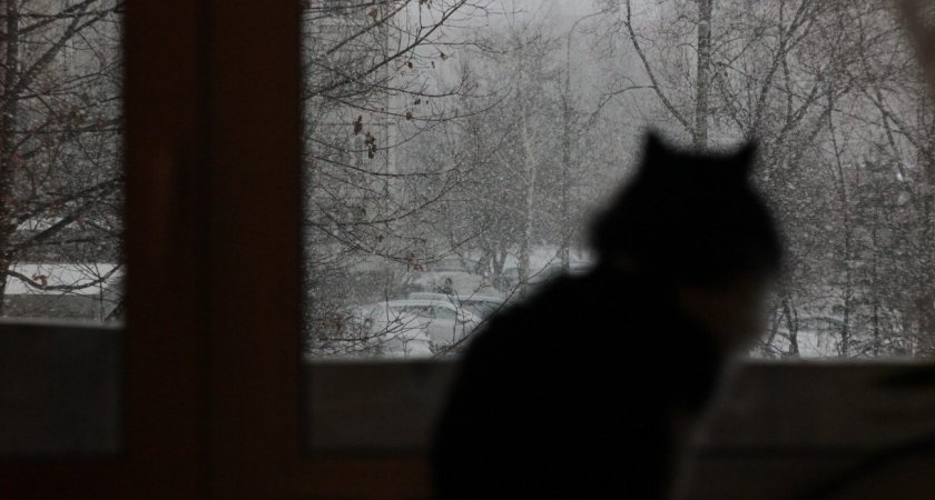 Ночью в Мордовии ожидается небольшой снег