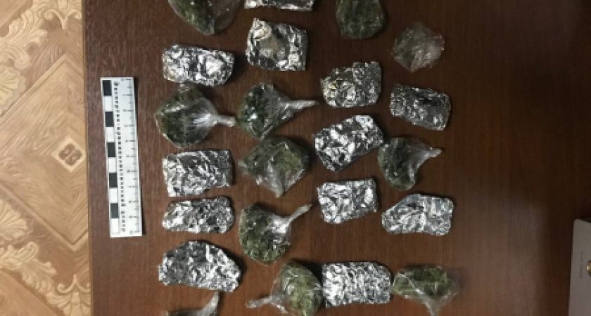 Житель Саранска отправится в колонию за сбыт и хранение наркотиков