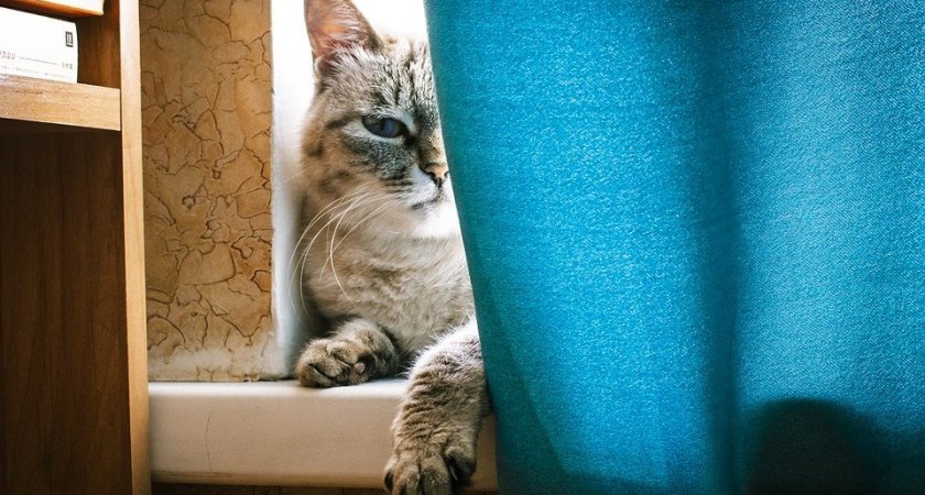 Вы сегодня будете баловнем судьбы: гороскоп на 16 апреля для всех знаков