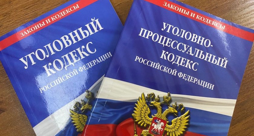 В Мордовии педофил получил 18 лет колонии за надругательства над падчерицами 
