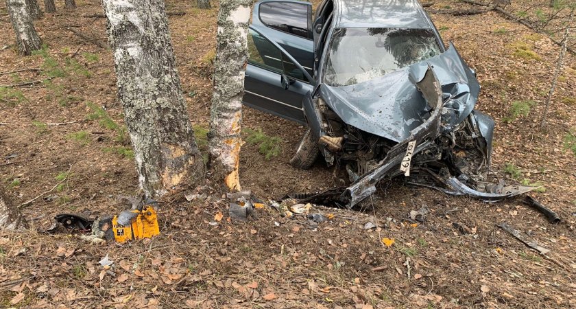 В Мордовии иномарка съехала в кювет и врезалась в дерево: водитель скончался 