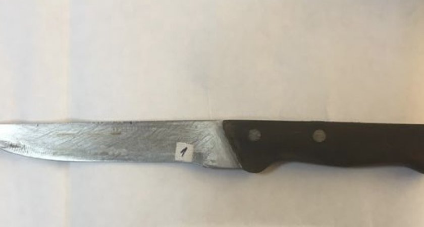 Житель Мордовии, пытавшийся зарезать подростка, предстанет перед судом
