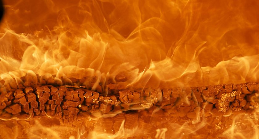В Мордовии во время пожара погибли два человека