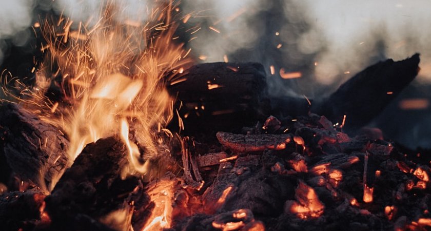 Жителям Мордовии запретили разводить костры и сжигать мусор 