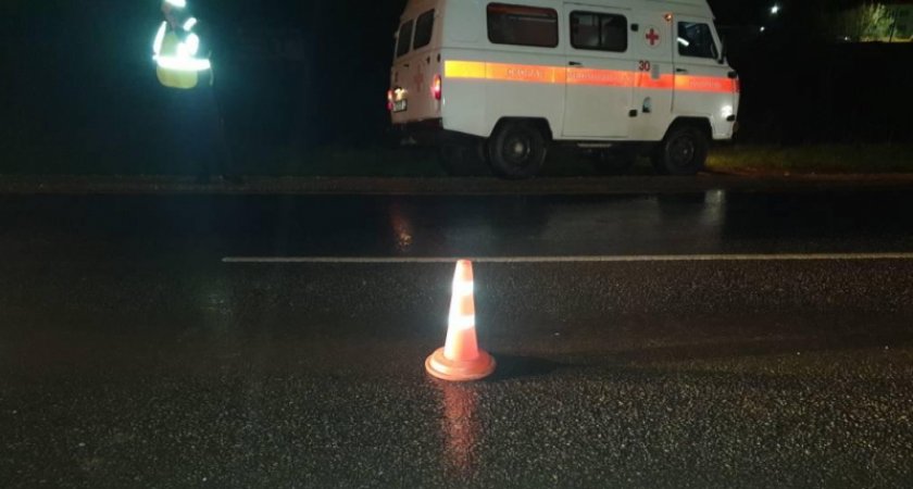 В Мордовии водитель иномарки сбил троих пешеходов: один из пострадавших погиб