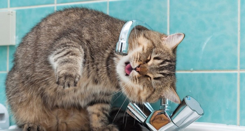 В пригороде Саранска 176 домов остались без холодной воды