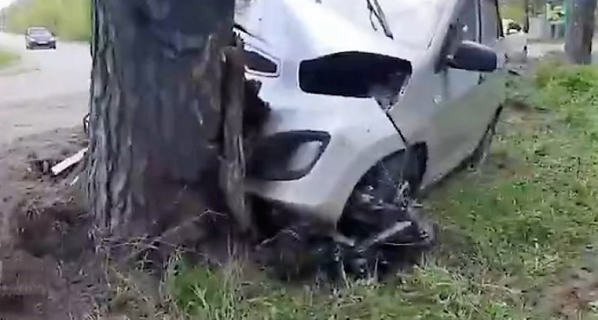В Мордовии иномарка врезалась в дерево: пострадали три человека