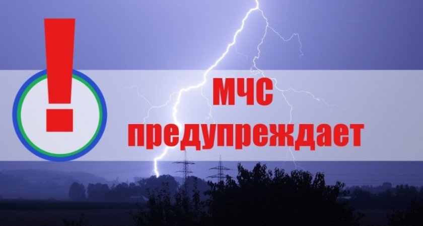 МЧС предупредило жителей Мордовии о грозе и сильном ветре