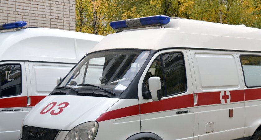 Житель Саранска оказался в больнице после прогулки в парке
