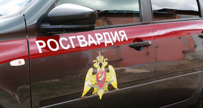 В Мордовии росгвардейцы поймали пьяного водителя 