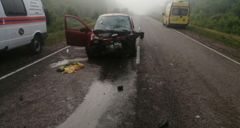Один человек погиб и пятеро получили травмы в результате лобового ДТП в Мордовии 