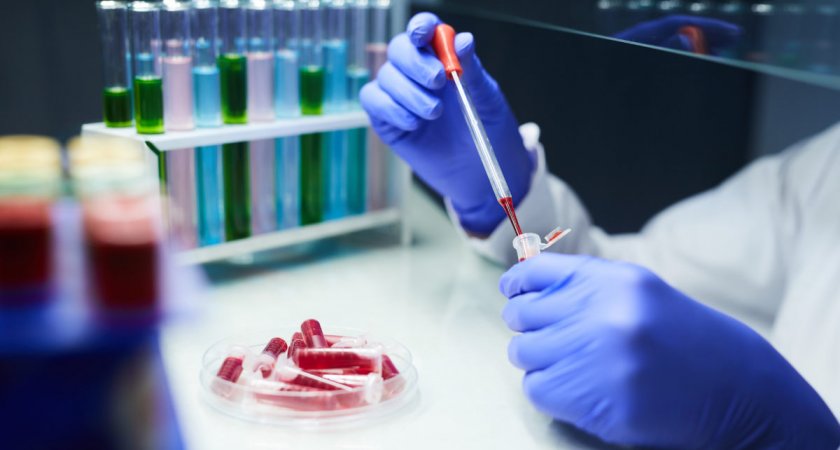 Названа единственная группа крови, носителей которой чаще остальных кусают комары