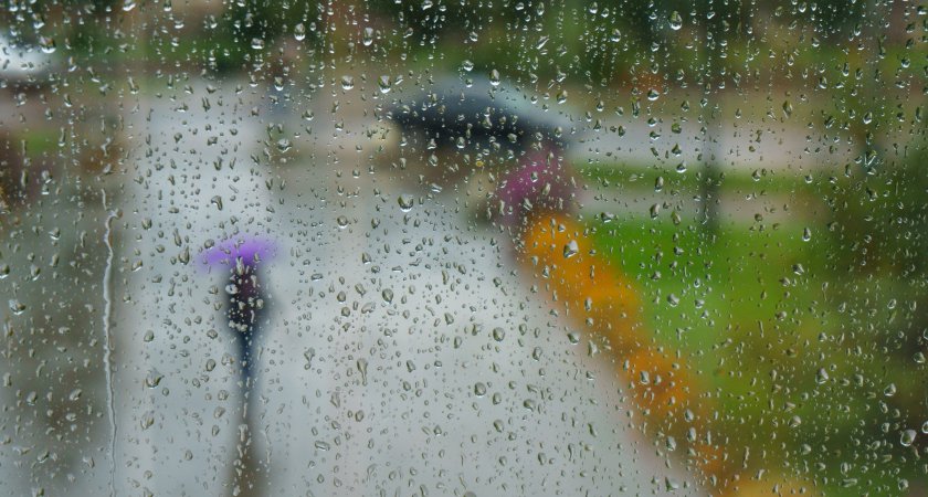 МЧС: Сильный дождь, гроза и ветер ожидаются в Мордовии