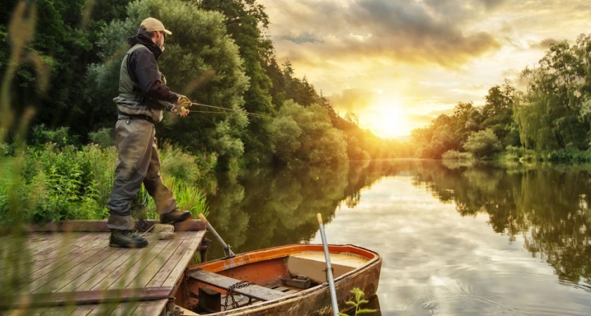 РСХБ пополнил витрину цифровых сервисов экосистемы Своё Фермерство решением для рыбоводов