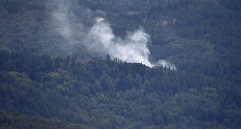 В Мордовии потушили пожар на территории заповедника