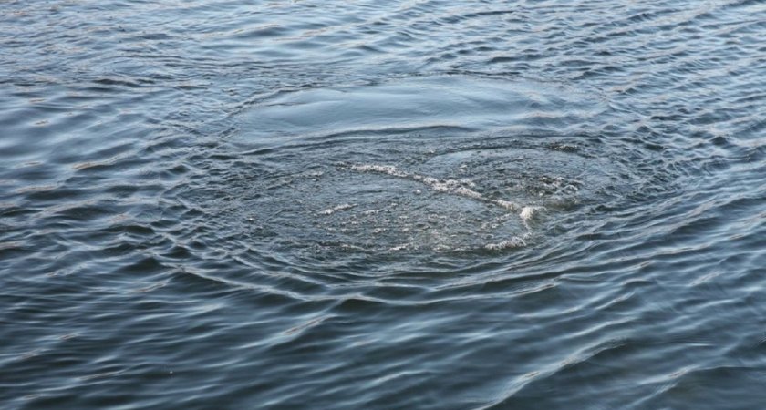 В Мордовии из пруда извлечено тело мужчины. По факту трагедии проводится проверка 