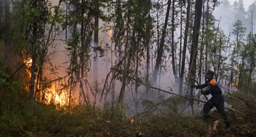 МЧС: В Мордовии прогнозируется высокая пожарная опасность лесов 