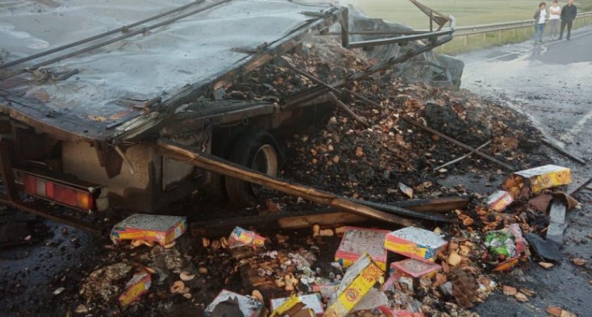 В Мордовии после ДТП загорелись «Приора» и «ГАЗ»: один человек погиб 