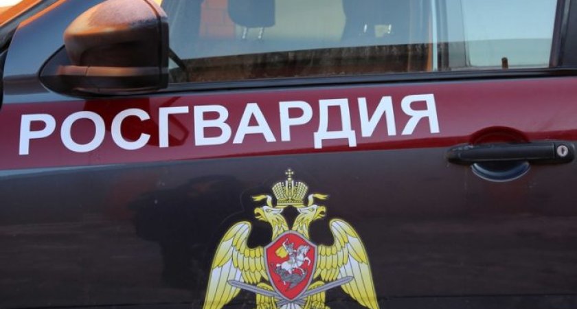 В Мордовии росгвардейцы и инспекторы ДПС поймали пьяную автоледи