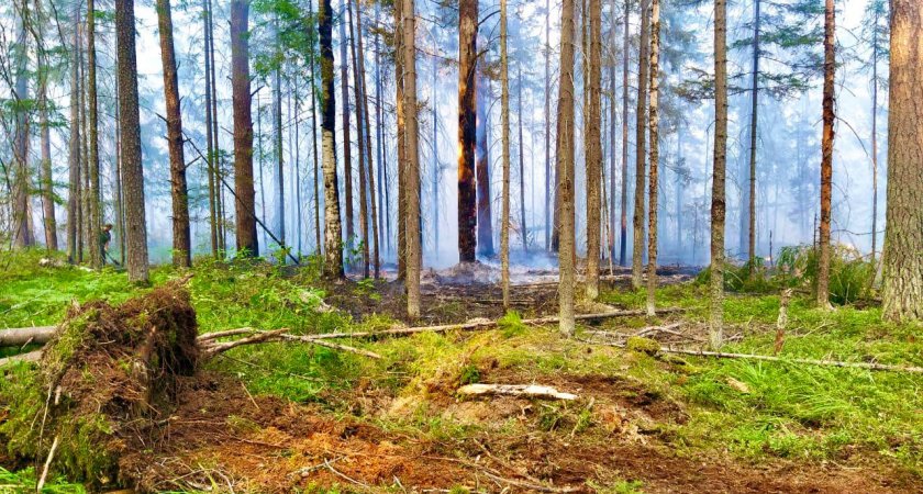 Локализован еще один лесной пожар в Мордовии