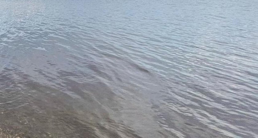 Еще одна трагедия: В Саранске утонула 66-летняя женщина